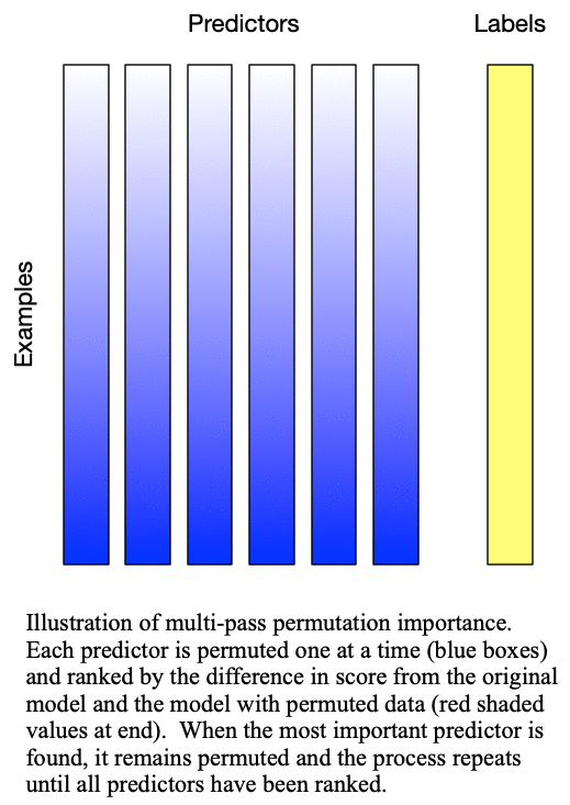 Animation of multipass permutation importance