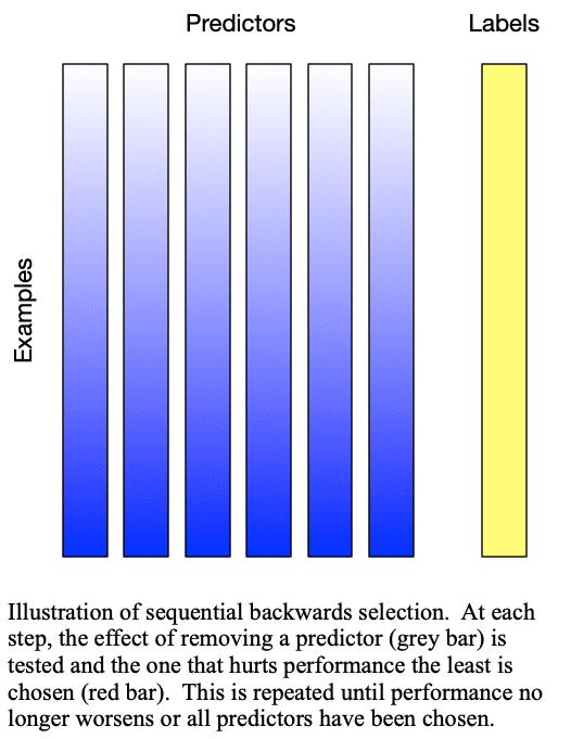 Animation of sequential backward selection