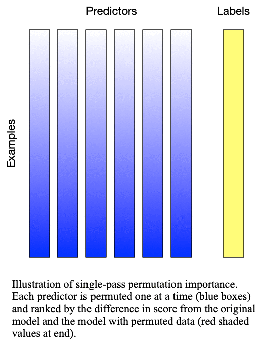 Animation of singlepass permutation importance